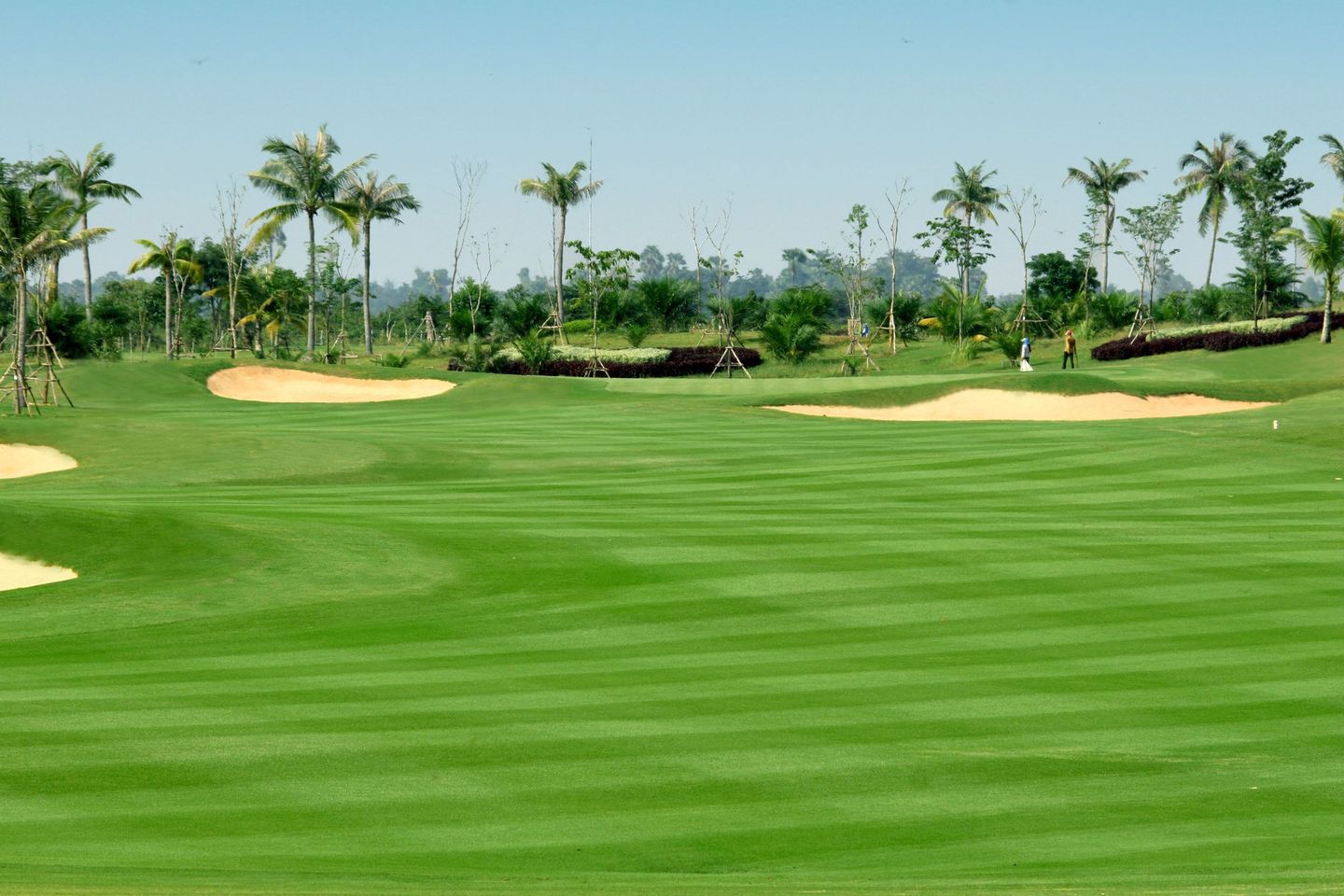 高尔夫假期组合