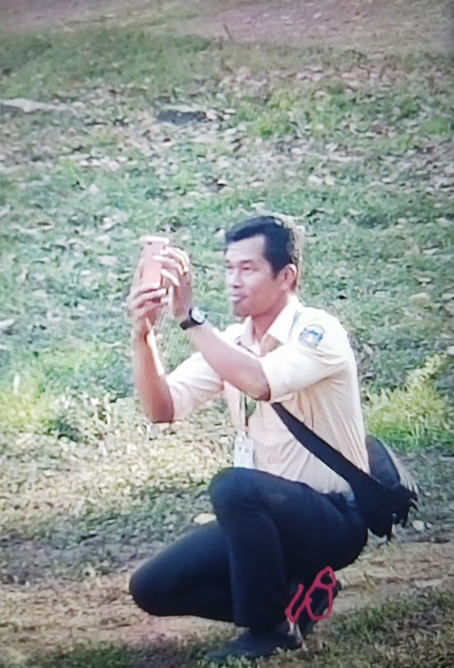 中文导游 蔡光华